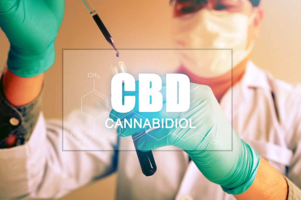 How Does CBD Work With Your Body?