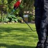 Why Should You Hire A Professional Weed Control Service