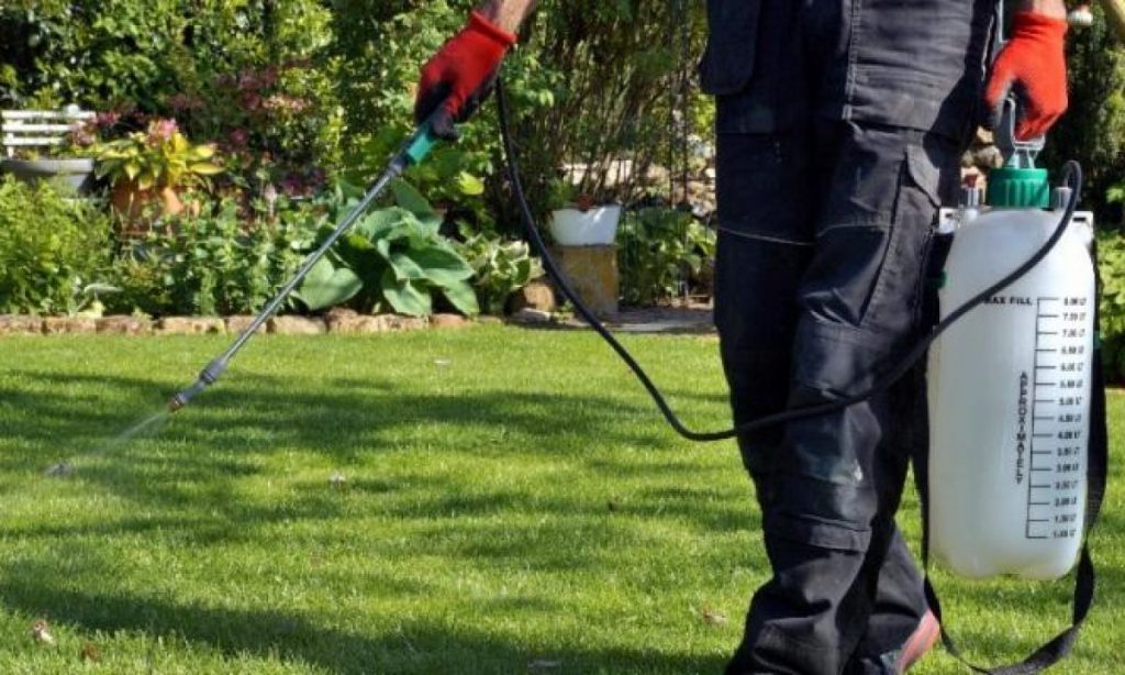 Why Should You Hire A Professional Weed Control Service