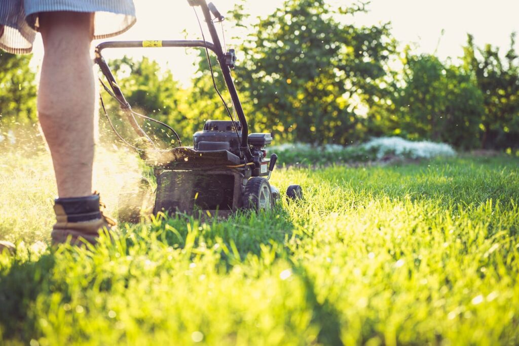 weed control in Regina